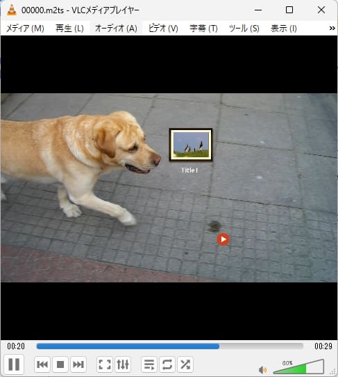 VLC Media Player