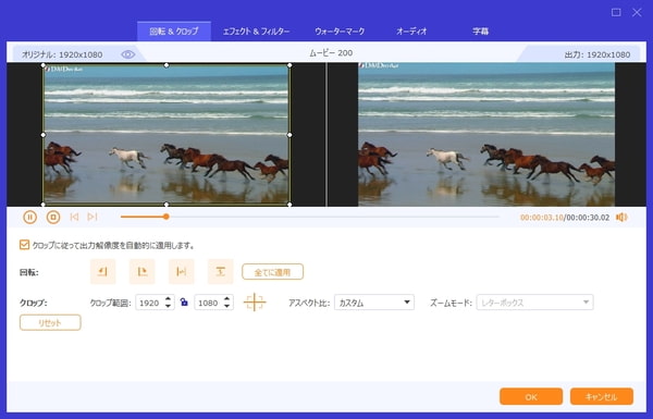 DVDをPCに取り込む前に編集