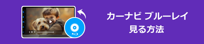 カーナビ ブルーレイ 見る方法