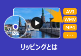リッピングとは