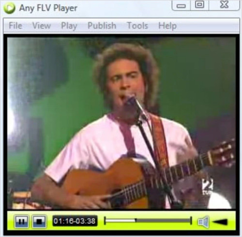 Any FLV PlayerでFLVファイルを再生