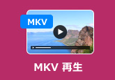 MKV 再生