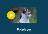 マルチメディアプレイヤーPotPlayer